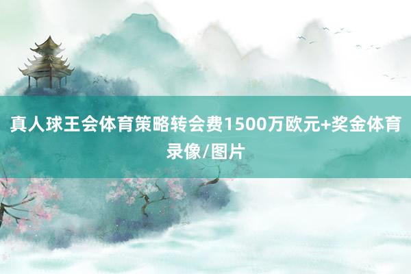 真人球王会体育策略转会费1500万欧元+奖金体育录像/图片