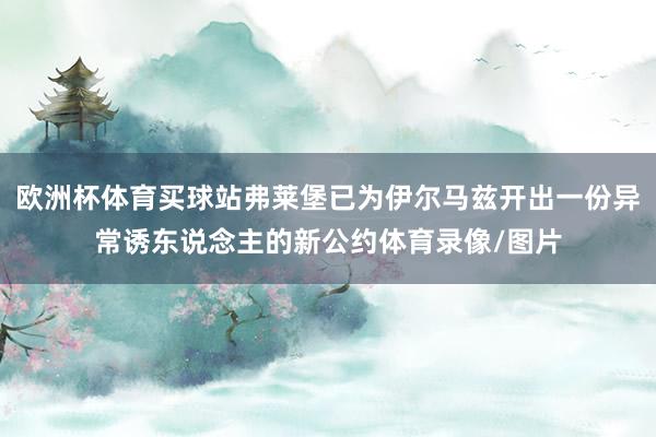 欧洲杯体育买球站弗莱堡已为伊尔马兹开出一份异常诱东说念主的新公约体育录像/图片