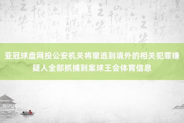 亚冠球盘网投公安机关将窜逃到境外的相关犯罪嫌疑人全部抓捕到案球王会体育信息