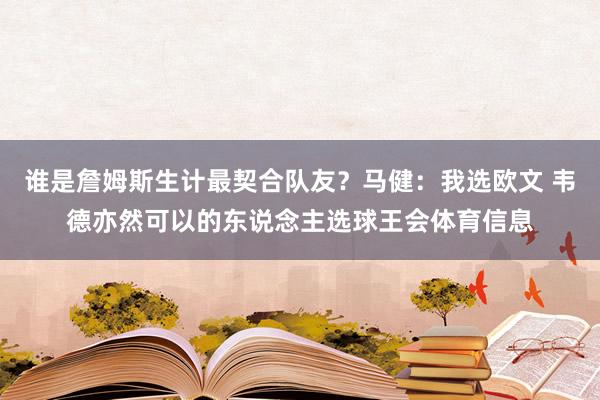 谁是詹姆斯生计最契合队友？马健：我选欧文 韦德亦然可以的东说念主选球王会体育信息