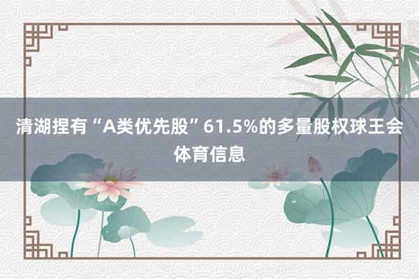 清湖捏有“A类优先股”61.5%的多量股权球王会体育信息