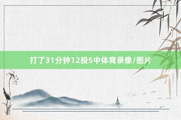 打了31分钟12投5中体育录像/图片