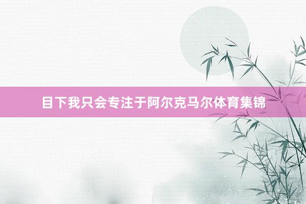 目下我只会专注于阿尔克马尔体育集锦